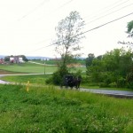 This Amish horse and buggy in the rain reminded me of Wanda and I on the tandem. One working hard to pull uphill while the other one sits and steers and watches the view.